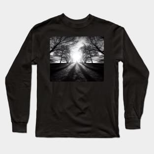 Monochrome Majesty: Sun Through Trees Long Sleeve T-Shirt